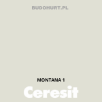 Tynk silikonowy CT74   MONTANA 1 gr.A 1,5mm 25kg