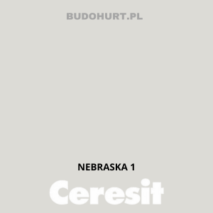 CT54 farba silikatowa NEBRASKA1 gr.A 15L