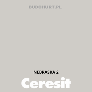 Tynk siliko-elastomerowy CT76  NEBRASKA 2 gr.A 1,5mm 25kg