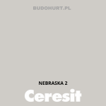 Tynk silikonowy CT74  NEBRASKA 2 gr.A 1,5mm 25kg