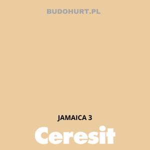 CT48 Farba silikonowa  JAMAICA 3 gr.A 15l