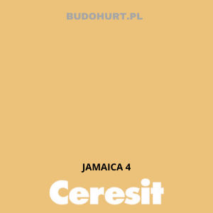 CT49 farba nanosilikonowa JAMAICA 4 gr.A/15L