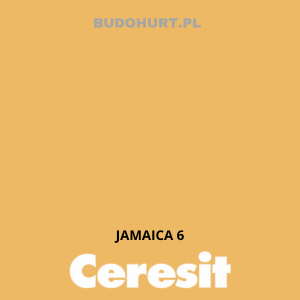 CT49 farba nanosilikonowa JAMAICA 6 gr.E/15L