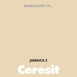 CT54 farba silikatowa JAMAICA 2 gr.A 15L