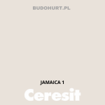 Tynk silikonowy CT74  JAMAICA 1 gr.B 1,5mm 25kg