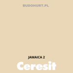 Tynk silikonowy CT74  JAMAICA 2 gr.B 1,5mm 25kg