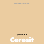 Tynk silikonowy CT74  JAMAICA 3 gr.A 1,5mm 25kg