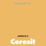 Tynk silikonowy CT74  JAMAICA 6 gr.G 1,5mm 25kg