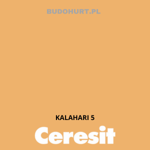 CT42 farba akrylowa  KALAHARI 5 gr.A/15L