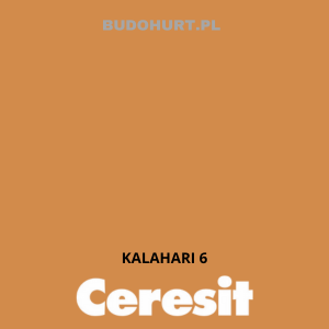 CT48 farba silikonowa KALAHARI 6 gr.E 15L