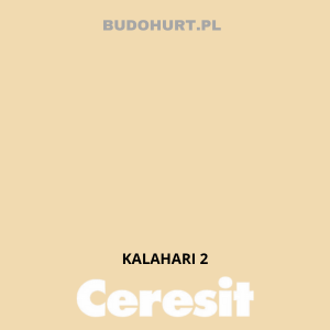 CT49 farba nanosilikonowa  KALAHARI 2 gr.A/15L