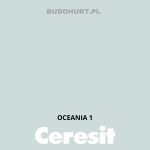 Tynk silikonowy CT74   OCEANIA 1 gr.A 1,5mm 25kg