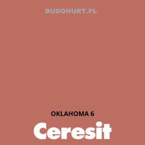 CT49 farba nanosilikonowa OKLAHOMA 6 gr.A/15L