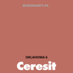 Tynk silikonowy CT74  OKLAHOMA 6 gr.C 1,5mm 25kg