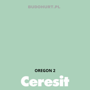 CT48 farba silikonowa OREGON 2 gr.A 15L