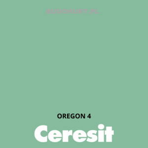 Tynk akrylowy CT60   OREGON 4 gr.A 1,5mm 25kg