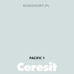 Tynk silikonowy CT74   PACIFIC 1 gr.A 1,5mm 25kg