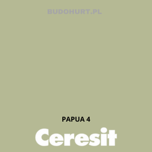 CT48 Farba silikonowa   PAPUA 4  gr.B 15l