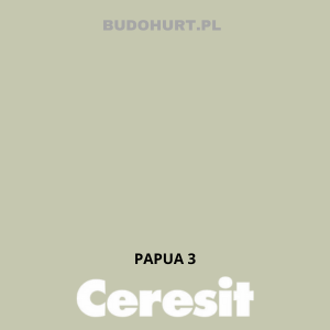 CT49 farba nanosilikonowa  PAPUA 3  gr.A/15L