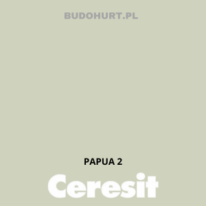 CT54 farba silikatowa  PAPUA 2  gr.A 15L