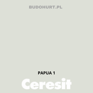 Kolor tynku PAPUA 1