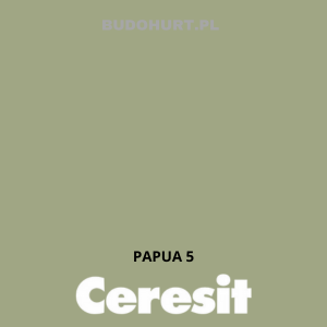 Tynk silikat-silikon CT174  PAPUA 5  gr.B 1,5mm 25kg