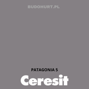 CT48 Farba silikonowa  PATAGONIA 5 gr.C 15l