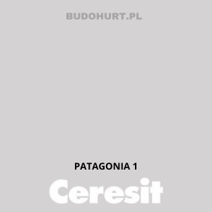 CT54 farba silikatowa PATAGONIA 1 gr.A 15L