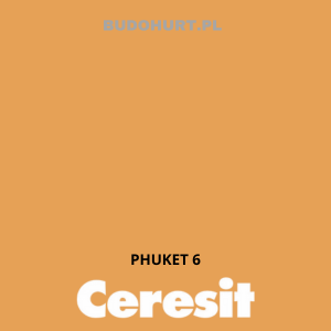 CT48 farba silikonowa PHUKET 6 gr.E 15L