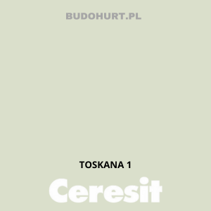 Tynk silikat-silikon CT174 MACHINE  TOSKANA 1 gr.B 1 mm 25kg