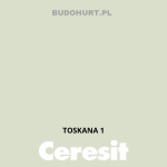 Tynk silikonowy CT74   TOSKANA 1 gr.B 1,5mm 25kg