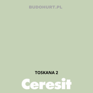 Tynk silikonowy CT74   TOSKANA 2 gr.A 1,5mm 25kg
