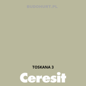 Tynk silikonowy CT74   TOSKANA 3 gr.A 1,5mm 25kg