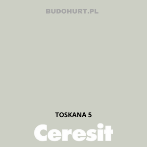 CT42 farba akrylowa  TOSKANA 5  gr.A/15L