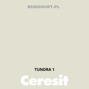 CT42 farba akrylowa  TUNDRA 1 gr.A/15L