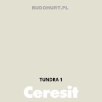 Tynk silikonowy CT74   TUNDRA 1 gr.A 1,5mm 25kg