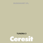 Tynk silikonowy CT74   TUNDRA 3 gr.A 1,5mm 25kg