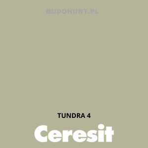 CT48 farba silikonowa  TUNDRA 4 gr.B 15L