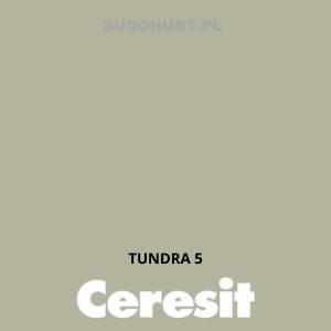 CT42 farba akrylowa  TUNDRA 5 gr.A/15L