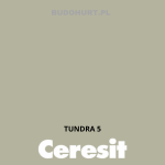 Tynk silikonowy CT74   TUNDRA 5 gr.A 1,5mm 25kg