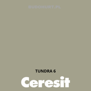 Tynk silikonowy CT74   TUNDRA 6 gr.B 1,5mm 25kg