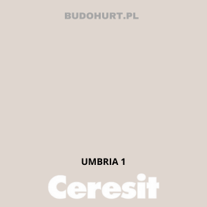 CT48 Farba silikonowa  UMBRIA 1 gr.A 15l