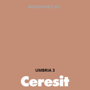 CT42 farba akrylowa UMBRIA 3 gr.A/15L