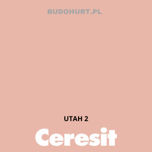 Tynk siliko-elastomerowy CT76  UTAH 2 gr.A 1,5mm 25kg