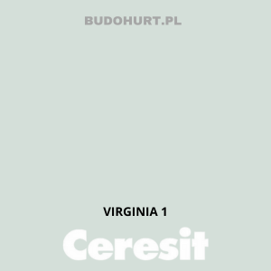 CT54 farba silikatowa  VIRGINIA 1  gr.A 15L