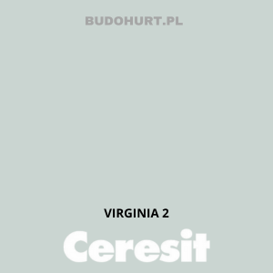 CT54 farba silikatowa  VIRGINIA 2  gr.A 15L