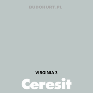 CT49 farba nanosilikonowa  VIRGINIA 3  gr.A/15L