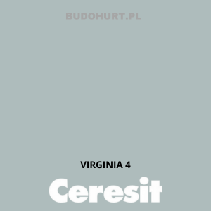 CT49 farba nanosilikonowa  VIRGINIA 4  gr.A/15L