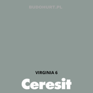 CT48 Farba silikonowa   VIRGINIA 6  gr.B 15l