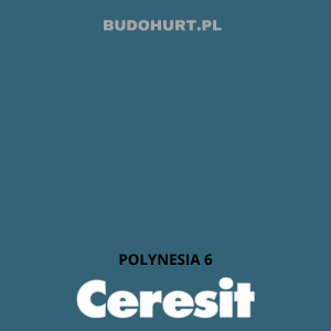 CT48 farba silikonowa POLYNESIA 6 gr.D 15L